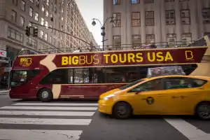 _05A7888_BBT_USA_kuplio