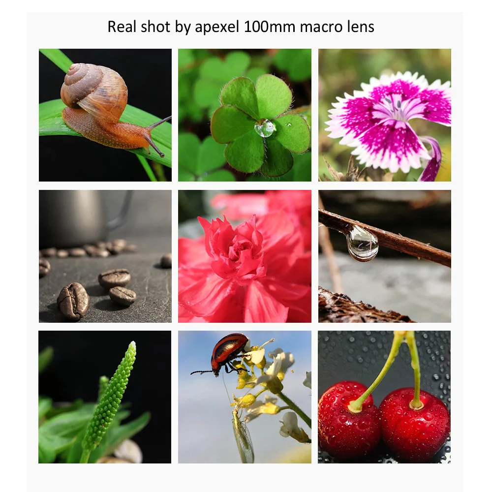 APEXEL For dropshipping camera phone lens 100mm macro Mobile lens macro Camcorder lenses for iPhone Samsung all smartphone - AliExpress - Image 6
